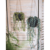 Hanging Faux Ceropegia Vine in Pot - RusticReach