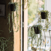 Hanging Faux Ceropegia Vine in Pot - RusticReach