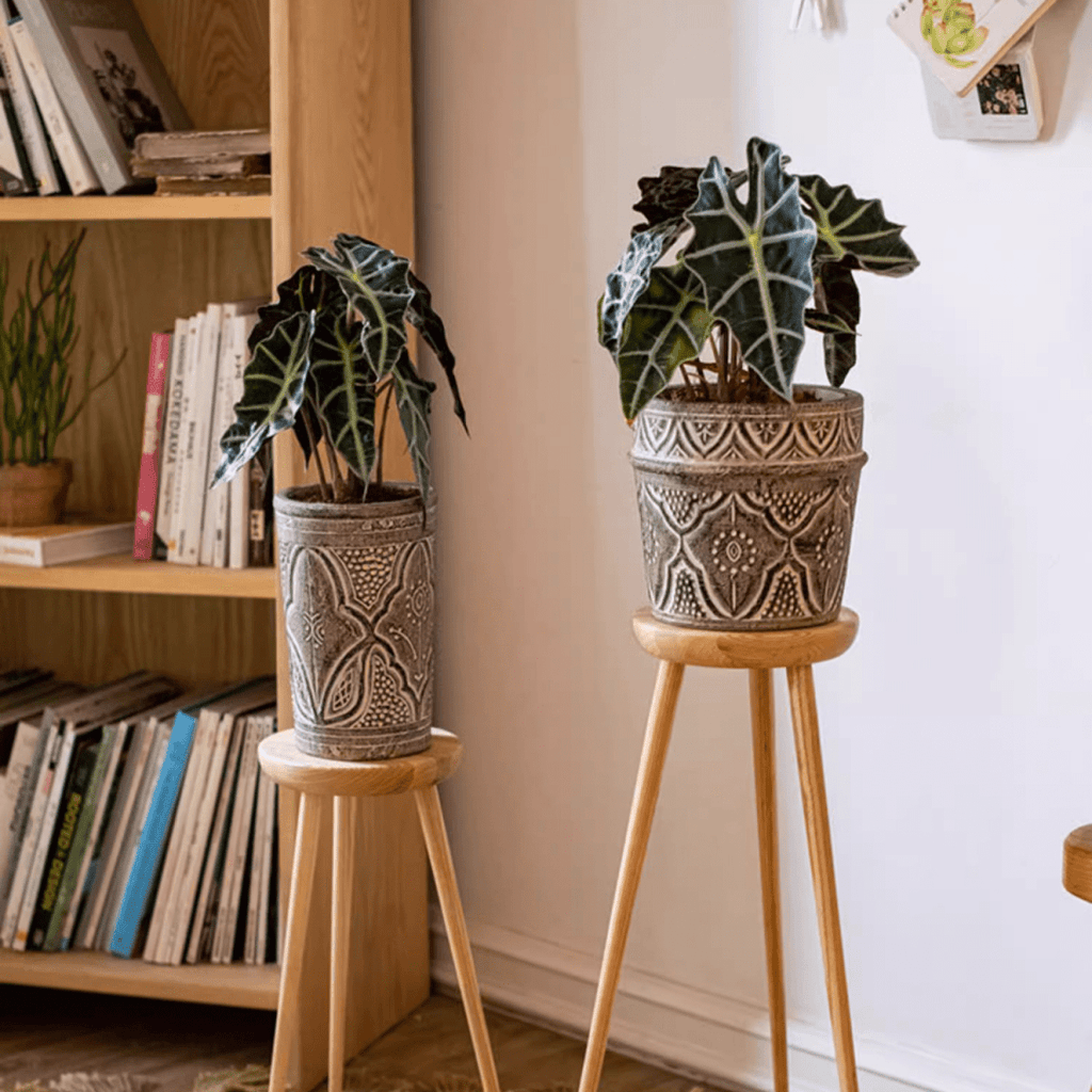 Classic Element Art Planter Clay Flowerpot - RusticReach