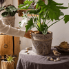 Classic Element Art Planter Clay Flowerpot - RusticReach