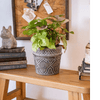 Classic Element Art Planter Clay Flowerpot - RusticReach