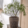 Classic Element Art Planter Clay Flowerpot - RusticReach