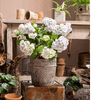 Classic Element Art Planter Clay Flowerpot - RusticReach