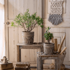 Classic Element Art Planter Clay Flowerpot - RusticReach
