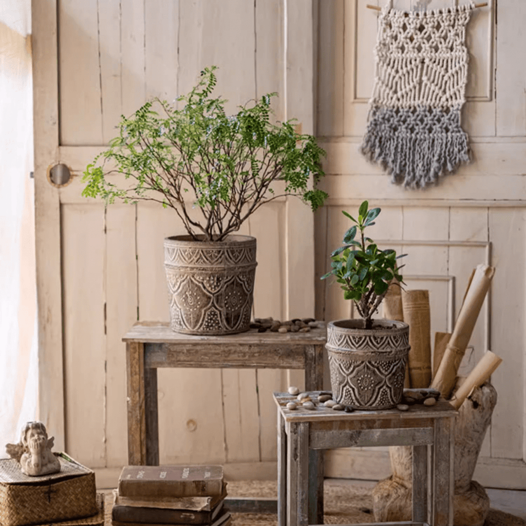 Classic Element Art Planter Clay Flowerpot - RusticReach