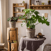 Classic Element Art Planter Clay Flowerpot - RusticReach