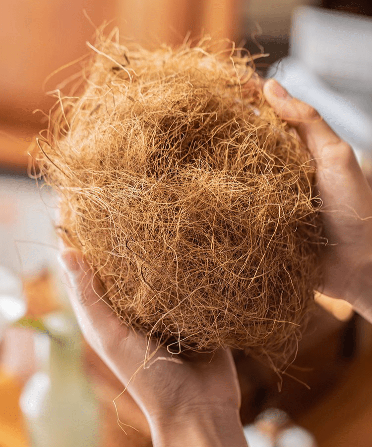 Coconut Fiber Pot Soil Surface Decoration Padding Material Set of 3 - RusticReach