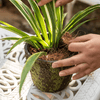 Coconut Fiber Pot Soil Surface Decoration Padding Material Set of 3 - RusticReach