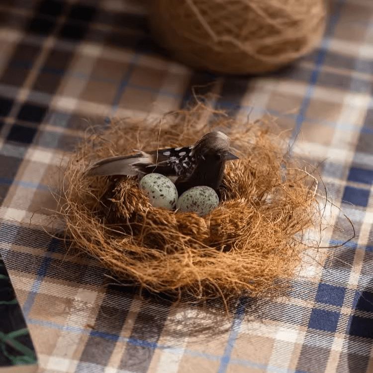 Coconut Fiber Pot Soil Surface Decoration Padding Material Set of 3 - RusticReach