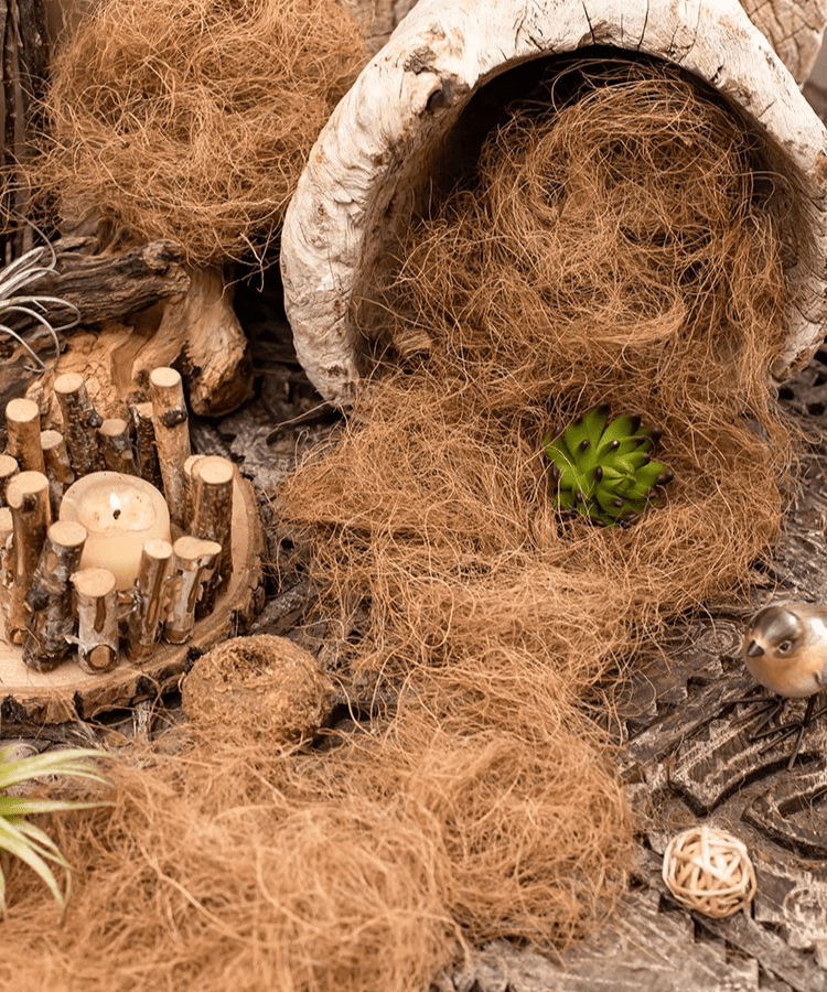 Coconut Fiber Pot Soil Surface Decoration Padding Material Set of 3 - RusticReach