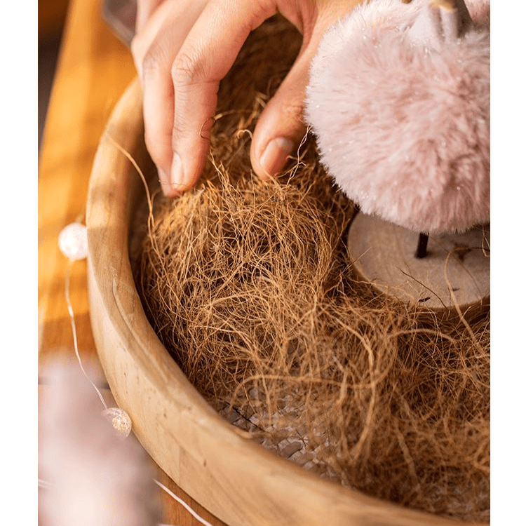 Coconut Fiber Pot Soil Surface Decoration Padding Material Set of 3 - RusticReach