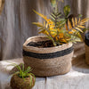 Cotton Blend Woven Storage Basket - RusticReach