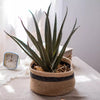 Cotton Blend Woven Storage Basket - RusticReach
