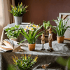 Faux Daffodil in Brown Pot - RusticReach