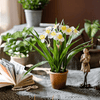 Faux Daffodil in Brown Pot - RusticReach