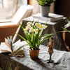 Faux Daffodil in Brown Pot - RusticReach