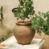 Distressed Cement Plant Pot - RusticReach