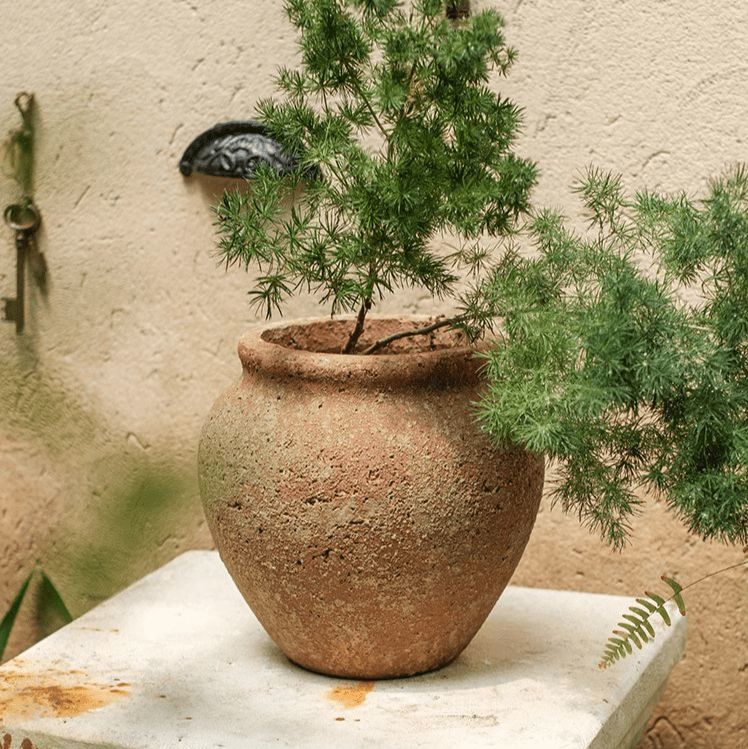 Distressed Cement Plant Pot - RusticReach
