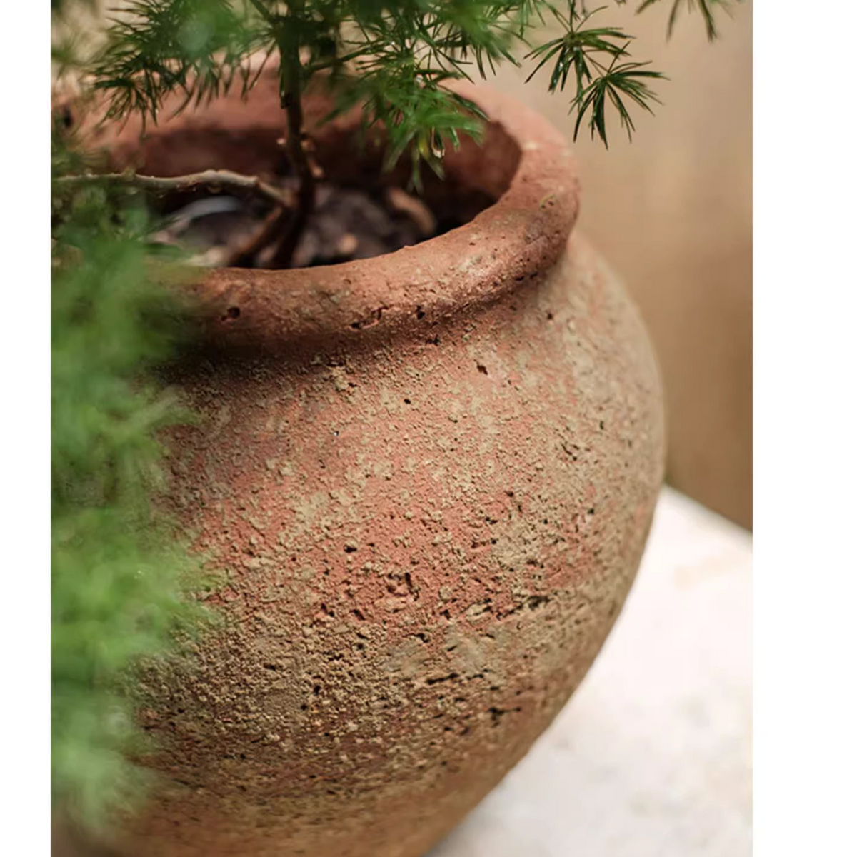 Distressed Cement Plant Pot