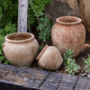 Distressed Cement Plant Pot - RusticReach