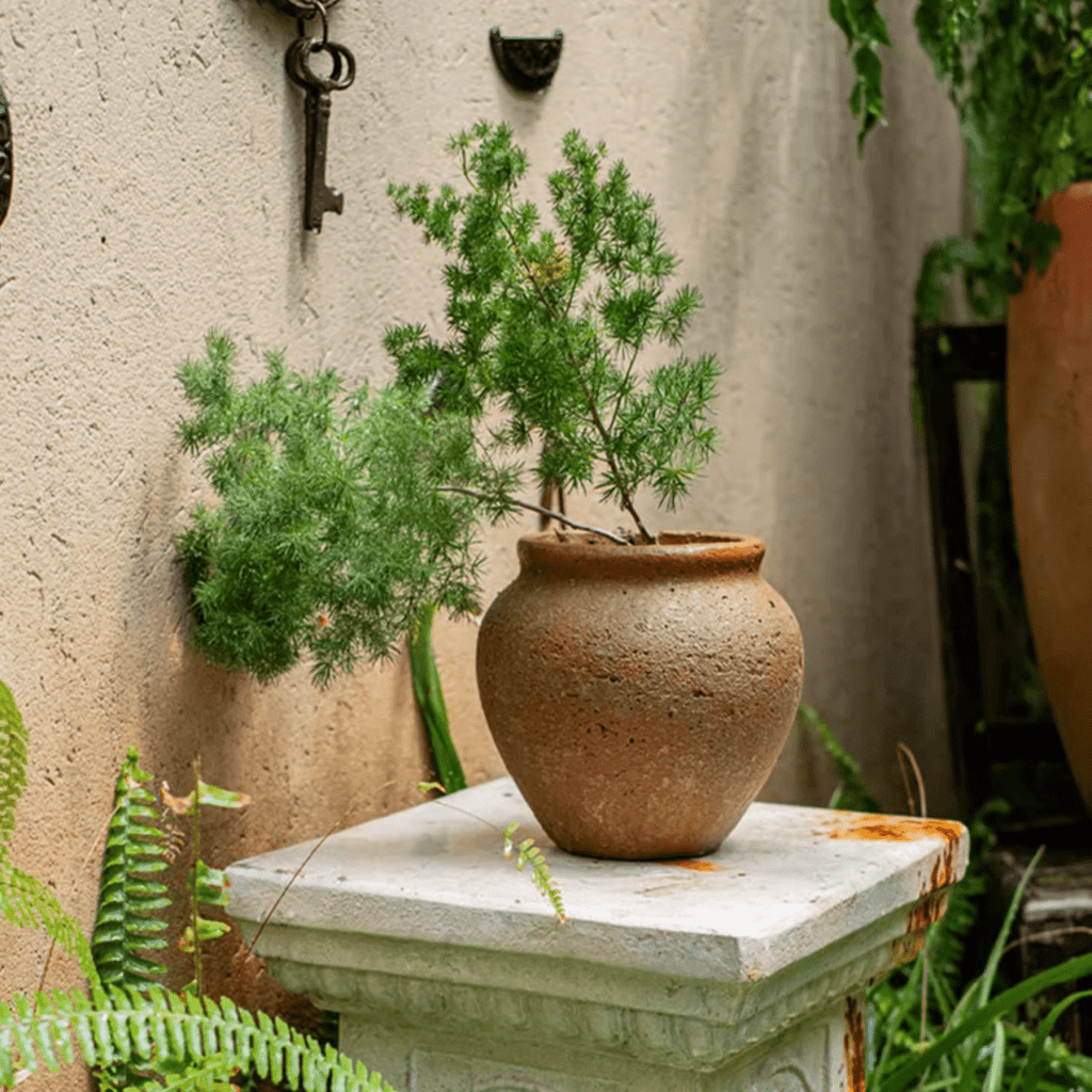 Distressed Cement Plant Pot - RusticReach