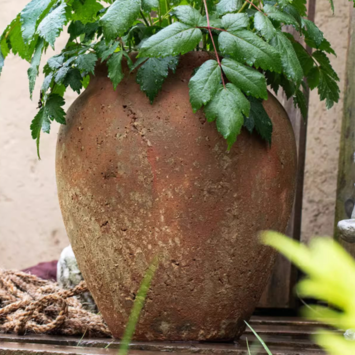 Distressed Cement Plant Pot