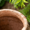 Distressed Cement Plant Pot - RusticReach