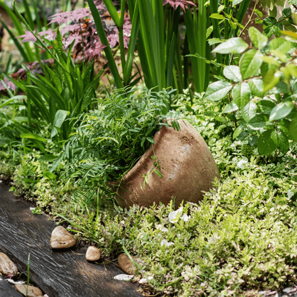 Distressed Cement Plant Pot - RusticReach