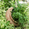 Distressed Cement Plant Pot - RusticReach