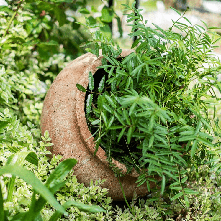 Distressed Cement Plant Pot - RusticReach