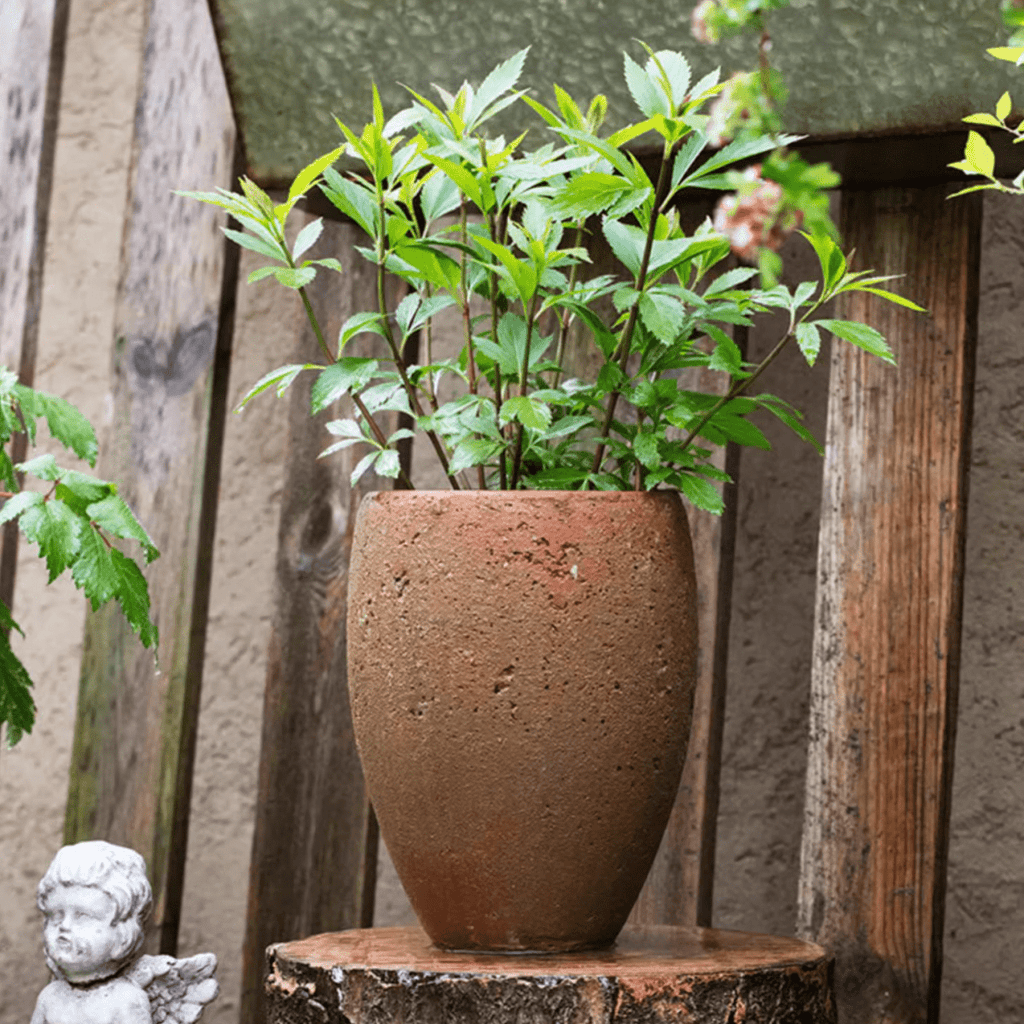 Distressed Cement Plant Pot Tall - RusticReach