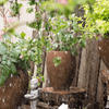 Distressed Cement Plant Pot Tall - RusticReach
