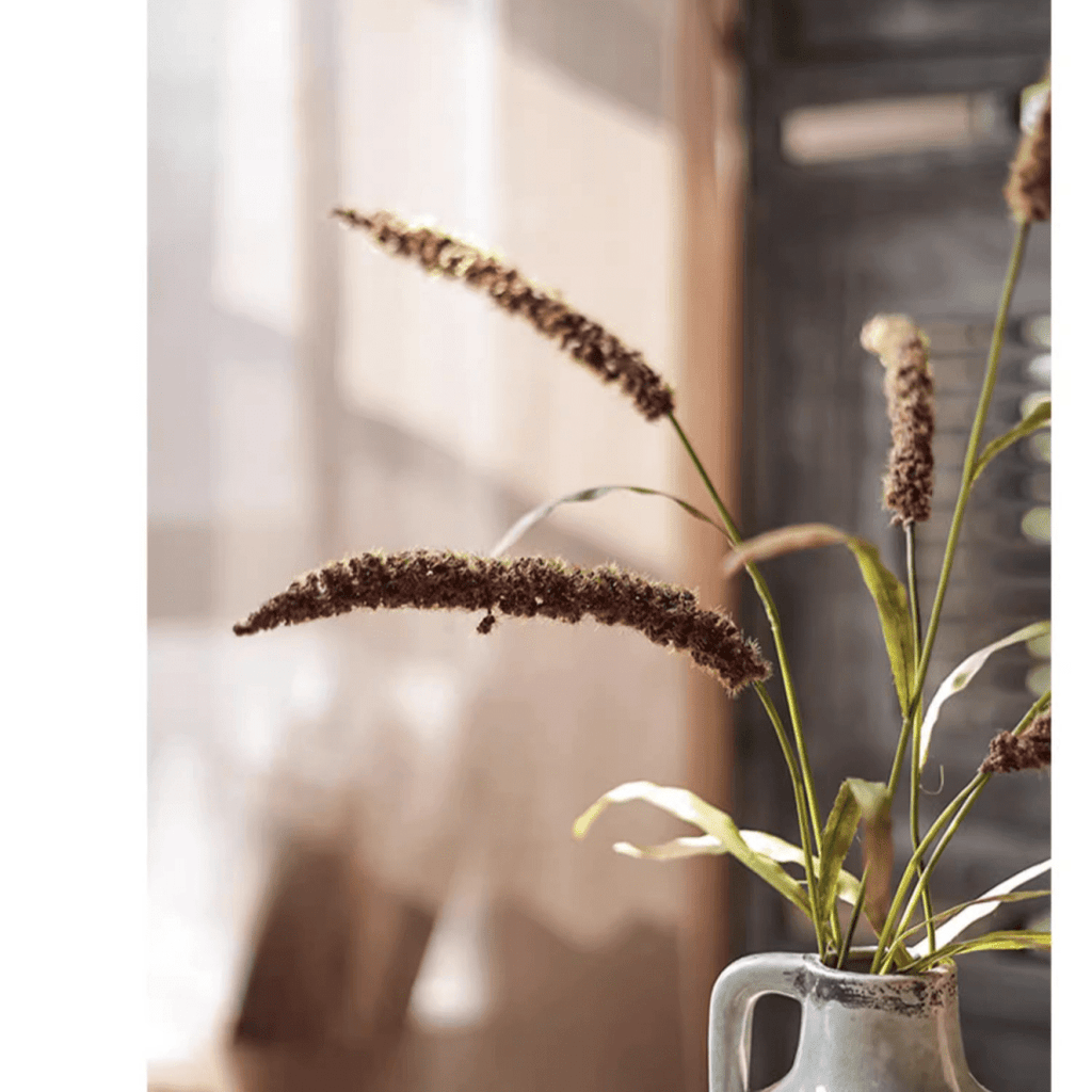Three - Headed Dogtail Grass Stem 39" Tall - RusticReach
