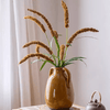 Three - Headed Dogtail Grass Stem 39" Tall - RusticReach