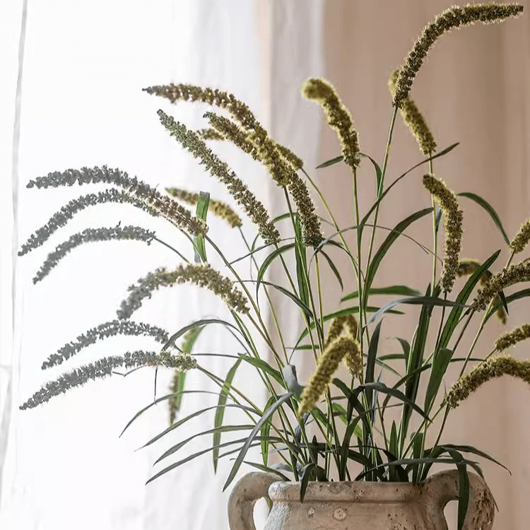 Three - Headed Dogtail Grass Stem 39" Tall - RusticReach