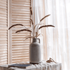 Three - Headed Dogtail Grass Stem 39" Tall - RusticReach