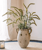 Three - Headed Dogtail Grass Stem 39" Tall - RusticReach
