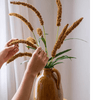 Three - Headed Dogtail Grass Stem 39" Tall - RusticReach