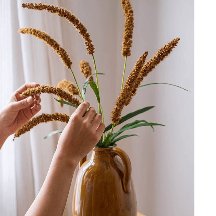 Three - Headed Dogtail Grass Stem 39" Tall - RusticReach