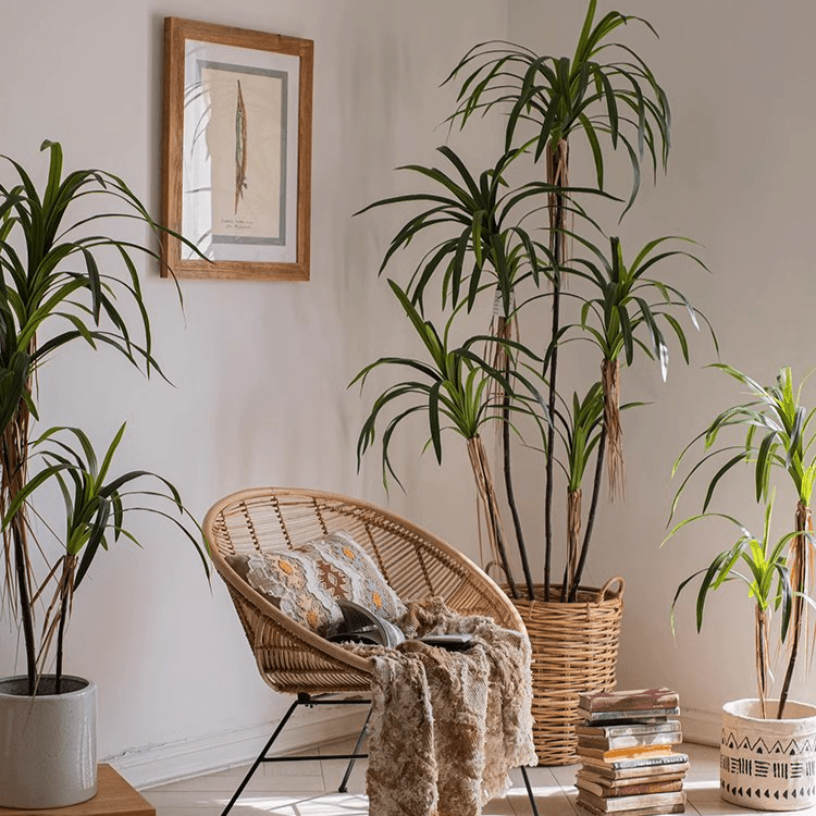 Artificial Dracaena Tree  RusticReach
