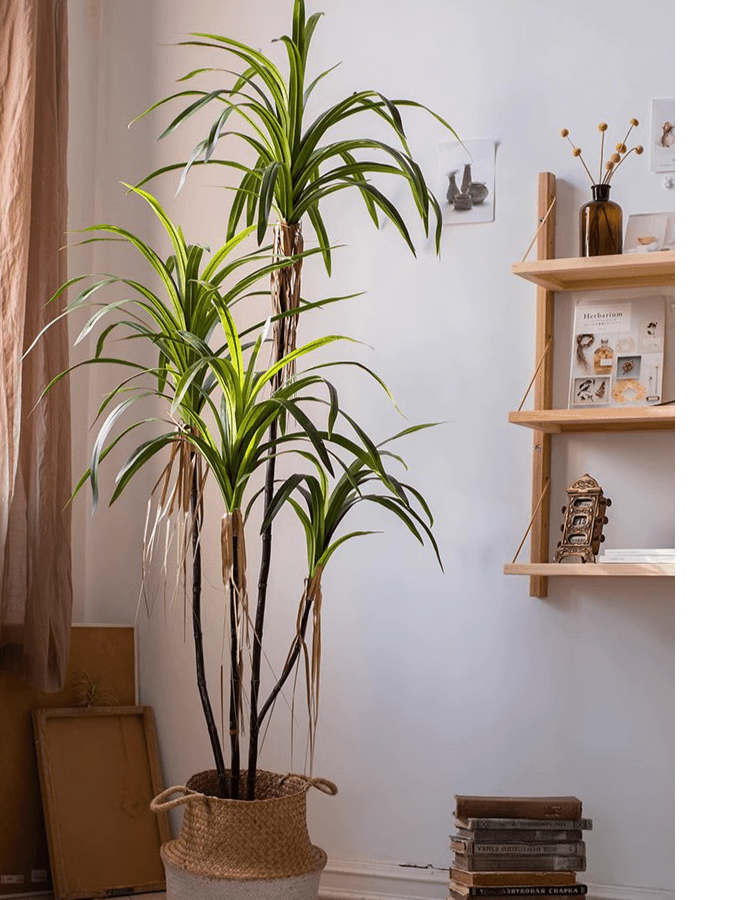 tall outdoor artificial dracaena tree Artificial Dracaena Tree – RusticReach