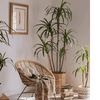 Artificial Dracaena Tree - RusticReach