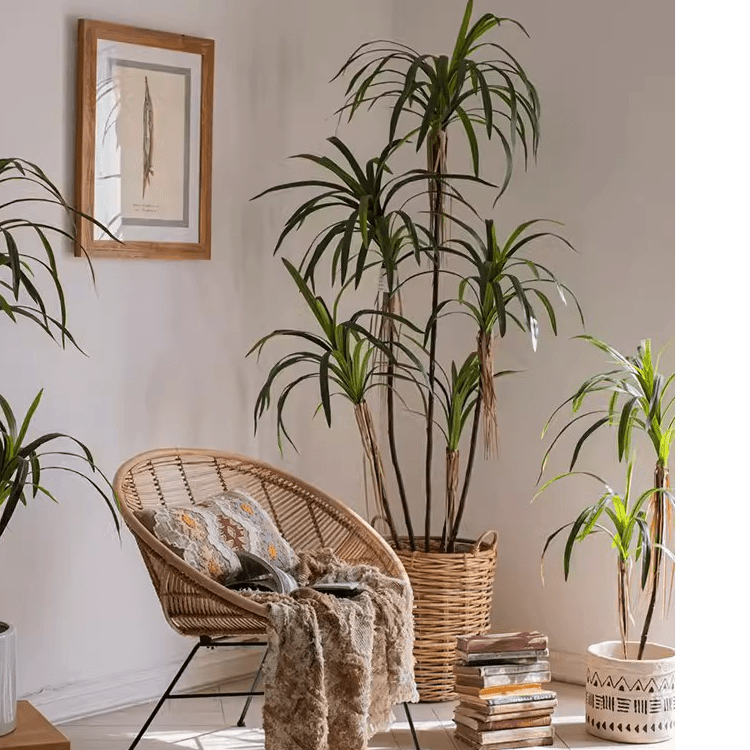 Artificial Dracaena Tree – RusticReach