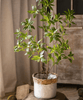Artificial Japanese Enkianthus Tree Faux - RusticReach