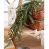 Evergreen Fern Garland and Wreath - RusticReach