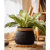 Faux Bamboo Woven Cement Planter - RusticReach