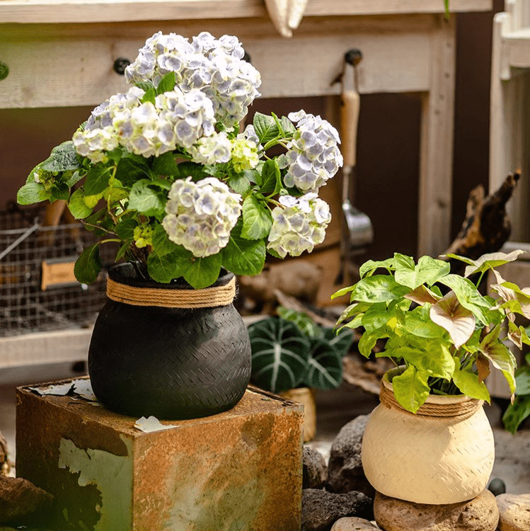 Faux Bamboo Woven Cement Planter - RusticReach