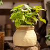 Faux Bamboo Woven Cement Planter - RusticReach