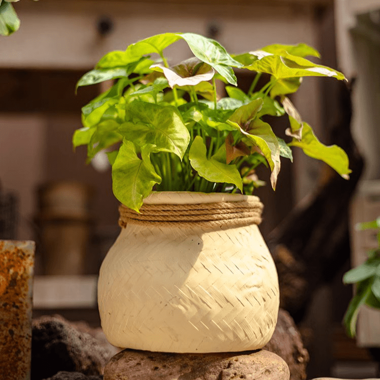 Faux Bamboo Woven Cement Planter - RusticReach