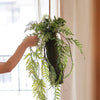 Artificial Fern Hanging Ball Decoration - RusticReach